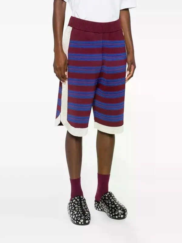 Wales Bonner Sample ‘Music’ Striped Tech Knit Shorts Size US 32 / EU 48 - 13 Thumbnail