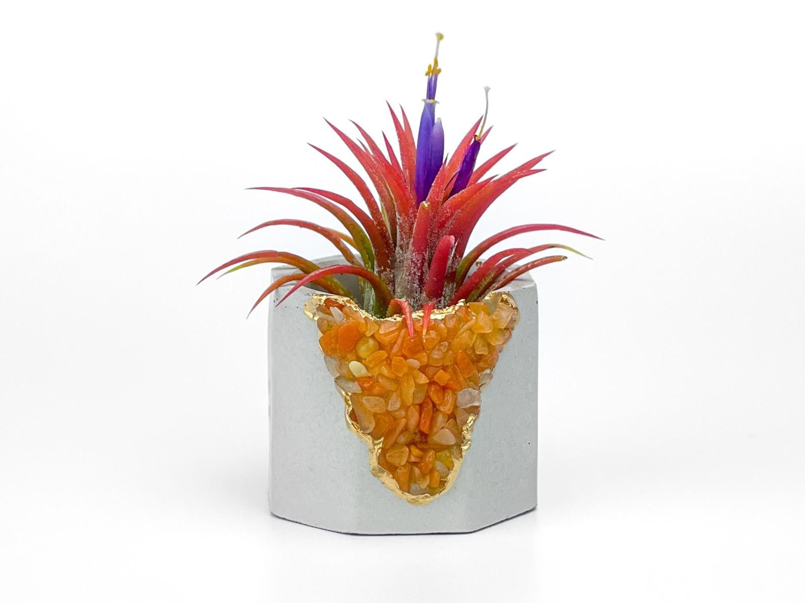 Other Red Aventurine Crystal Planter Reiki Crystal Candle Holder Size ONE SIZE - 3 Thumbnail