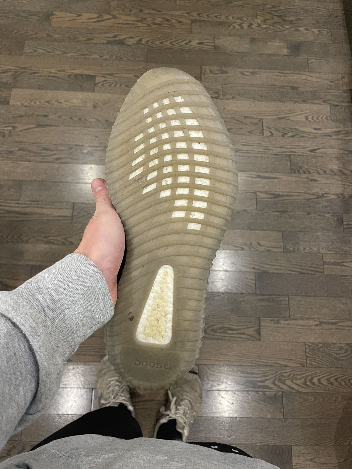 Adidas Yeezy boost 350 V2 Beluga