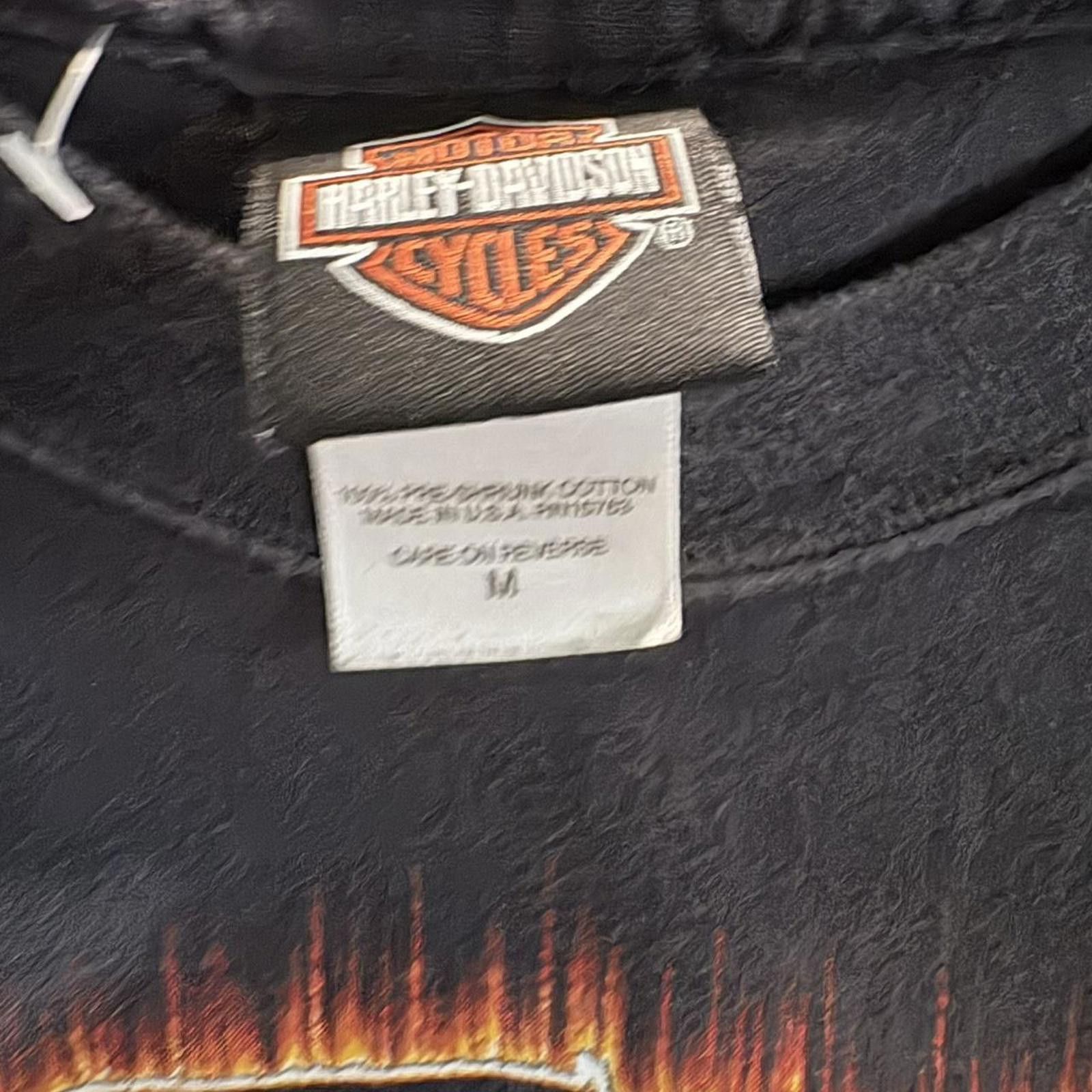 Harley Davidson Harley Davidson Country tshirt Size US M / EU 48-50 / 2 - 3 Thumbnail