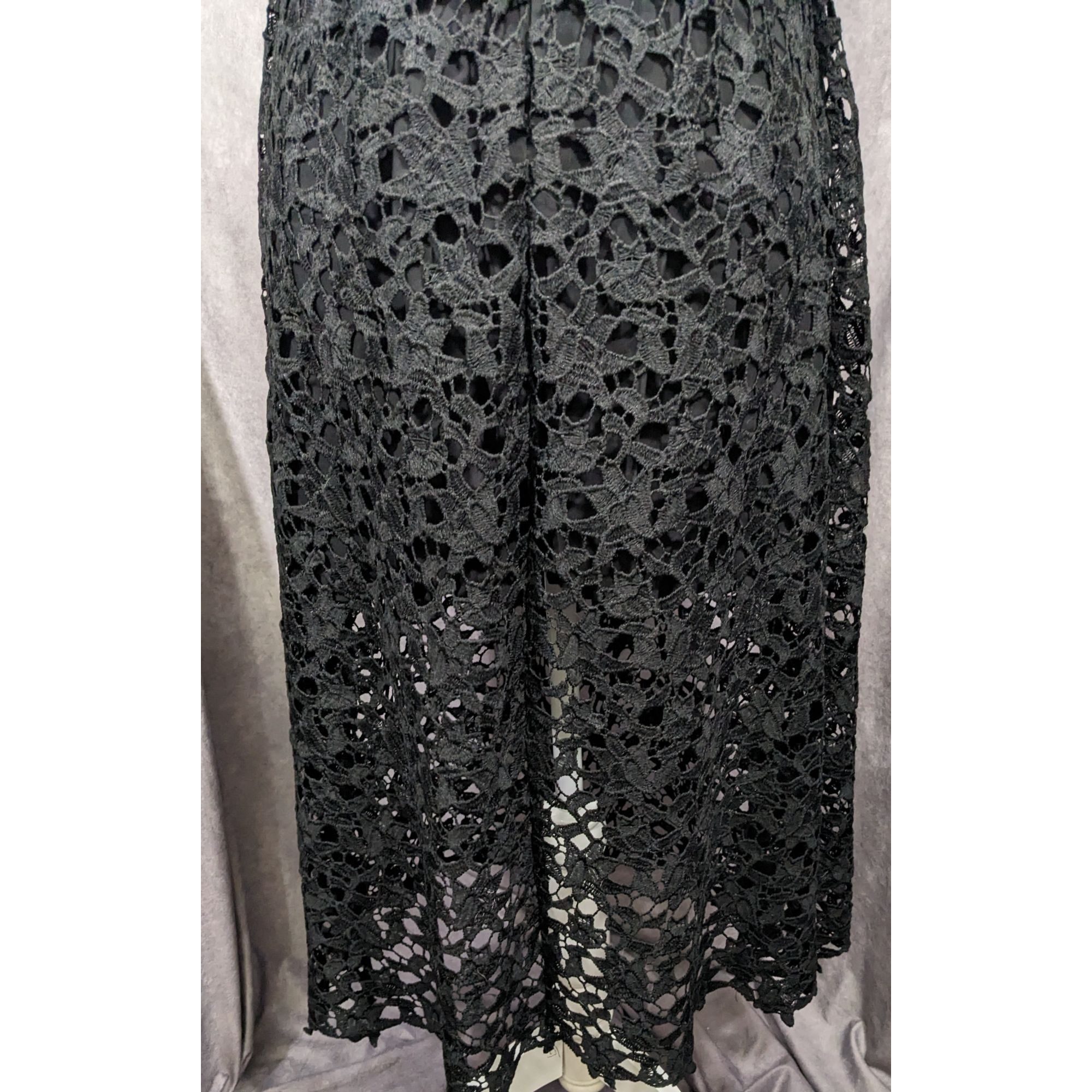 ASTR The Label ASTR The Label Gothic Floral Lace Overlay Dress Size Medium Size M / US 6-8 / IT 42-44 - 13 Thumbnail