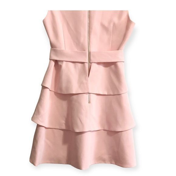 Ted Baker Ted Baker Reinah Sleeveless Tiered Pink Mini Dress Size 4(L) Size L / US 10 / IT 46 - 5 Thumbnail