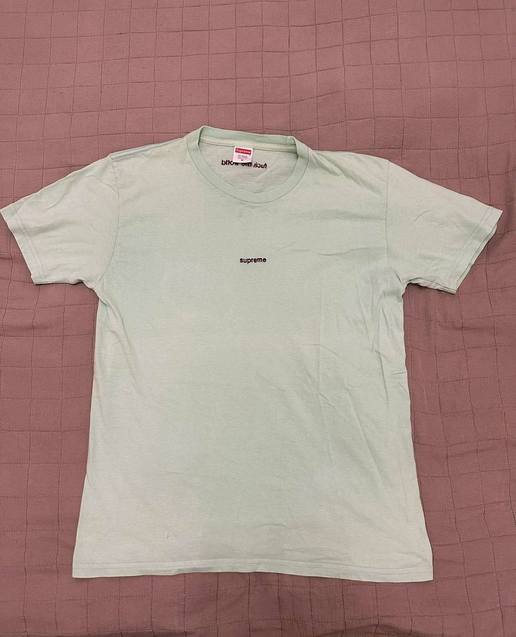 Supreme Supreme Fuck The World Mint Green Tee Spellout Logo M | Grailed