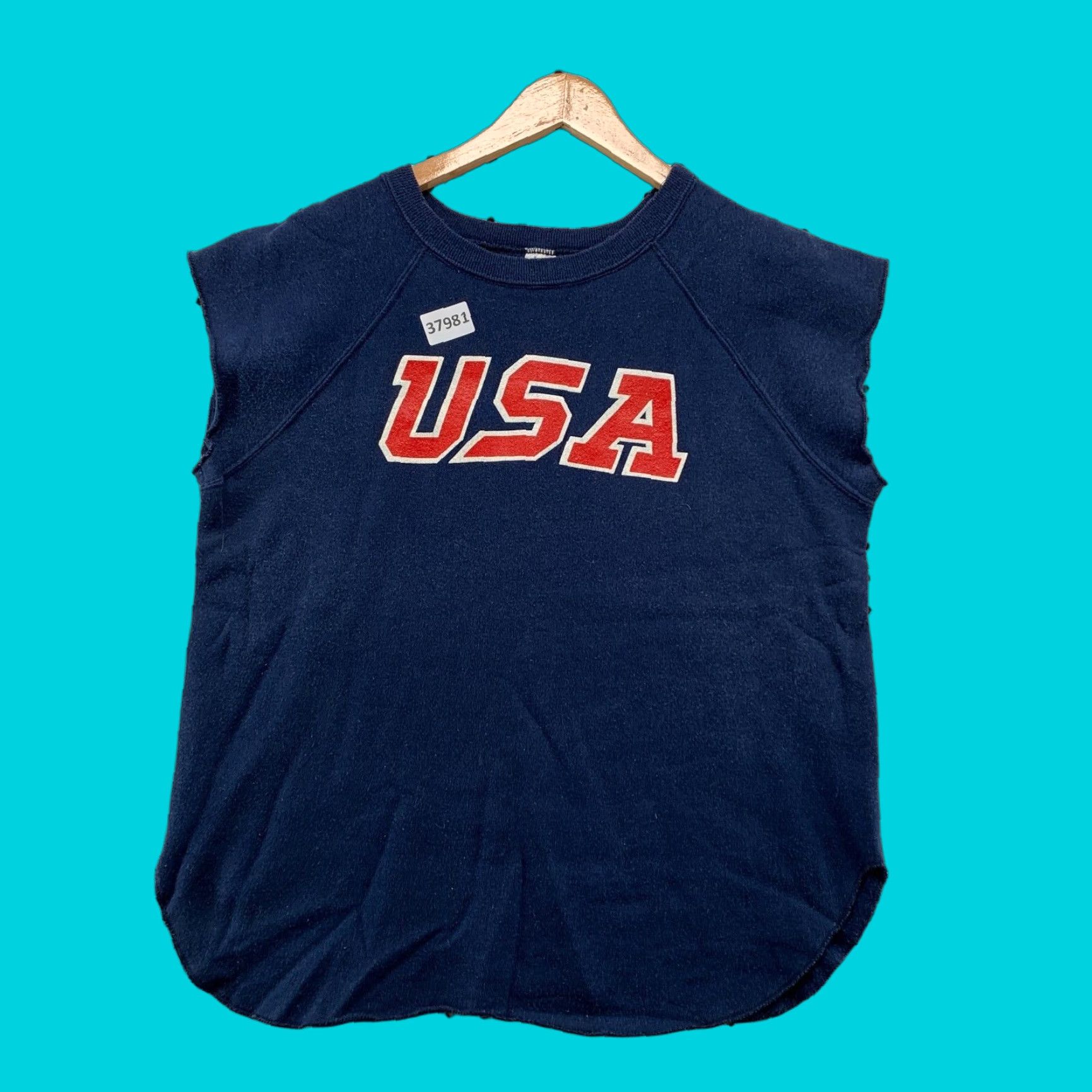 VINTAGE Champion USA Olympics Sweatshirt Shirt Sleeveless Mens L 