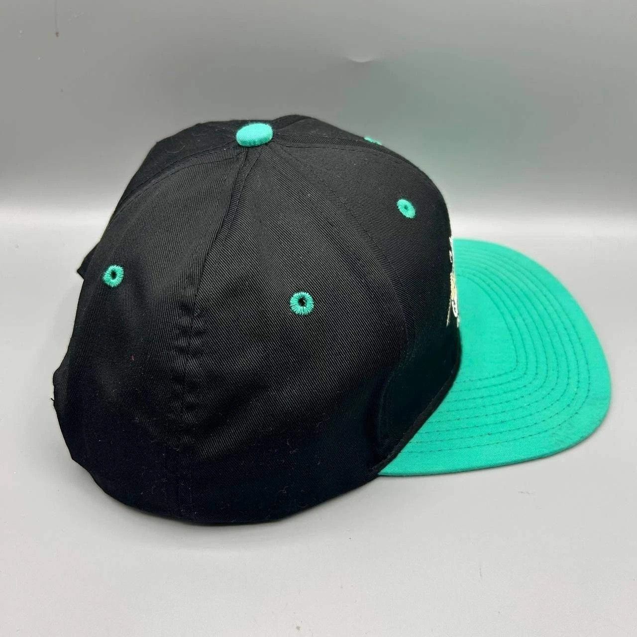 Other Minor League Baseball Embroidered Cameron Sports Snap Back Size ONE SIZE - 6 Thumbnail