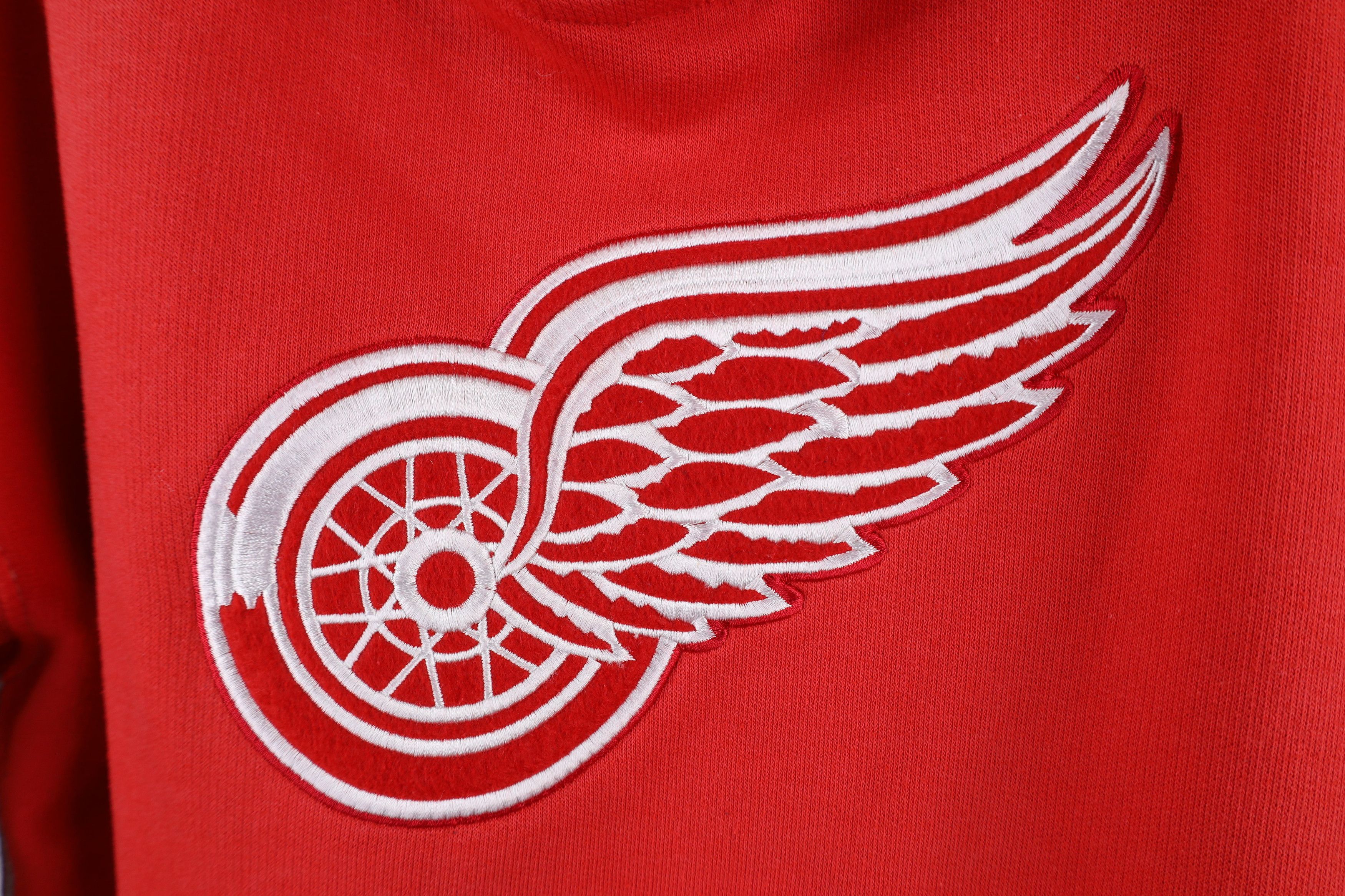 Majestic × Vintage Vintage Majestic Detroit Red Wings Hockey Hoodie Sweatshirt Size M / US 6-8 / IT 42-44 - 6 Thumbnail