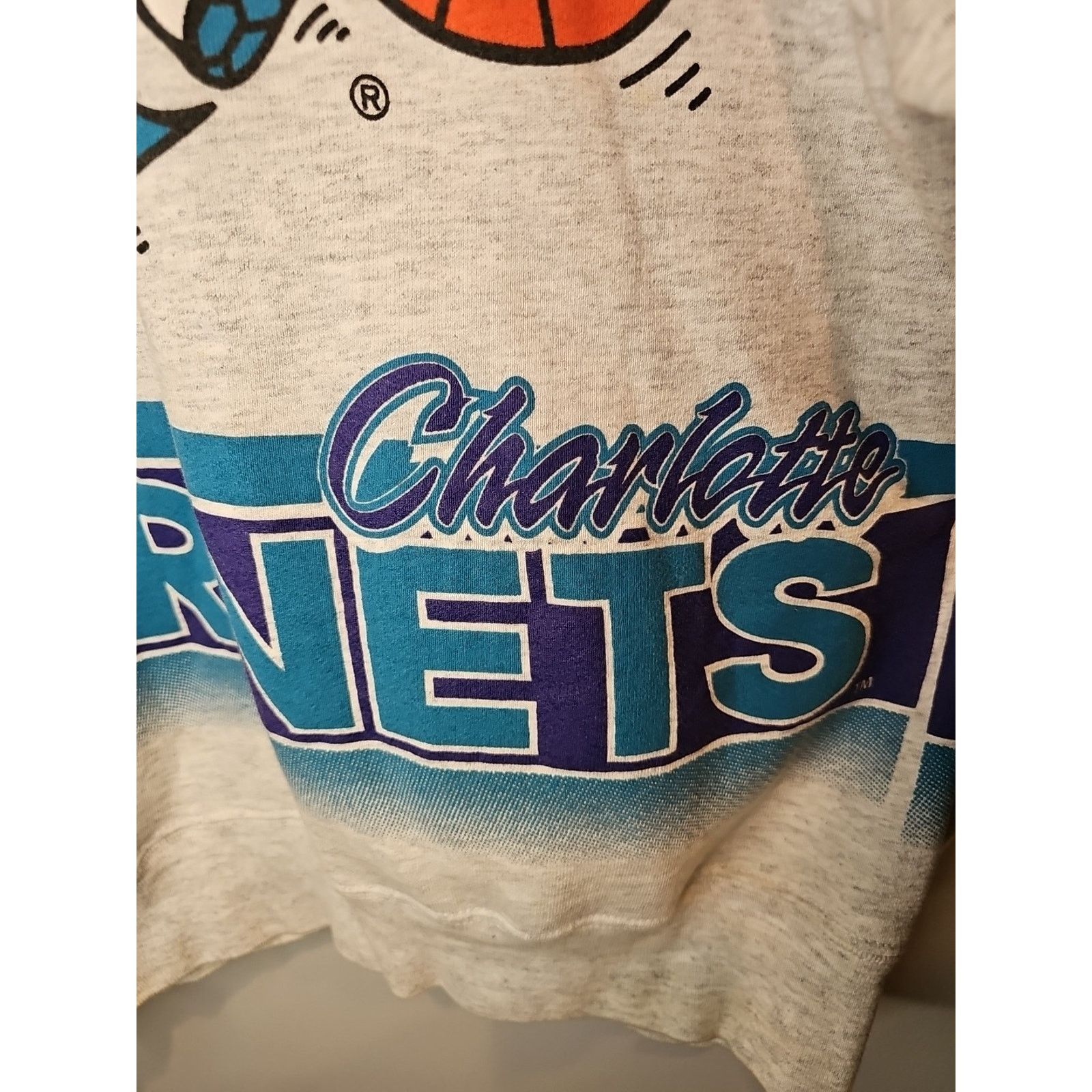 Salem Sportswear Vintage Charlotte Hornets Sweatshirt Sz L NBA Salem Crew Size US L / EU 52-54 / 3 - 5 Thumbnail