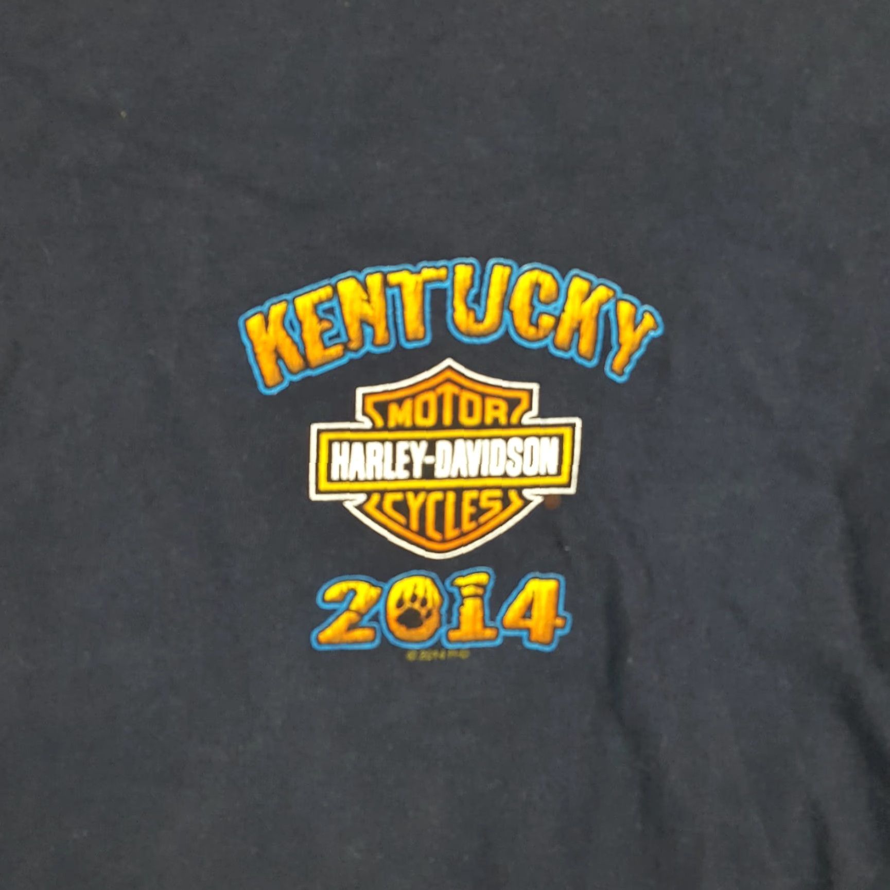 Harley Davidson VINTAGE Harley-Davidson Biker Lion T-Shirt XL Blue 00s Motorcycle Mens Size US XL / EU 56 / 4 - 4 Thumbnail