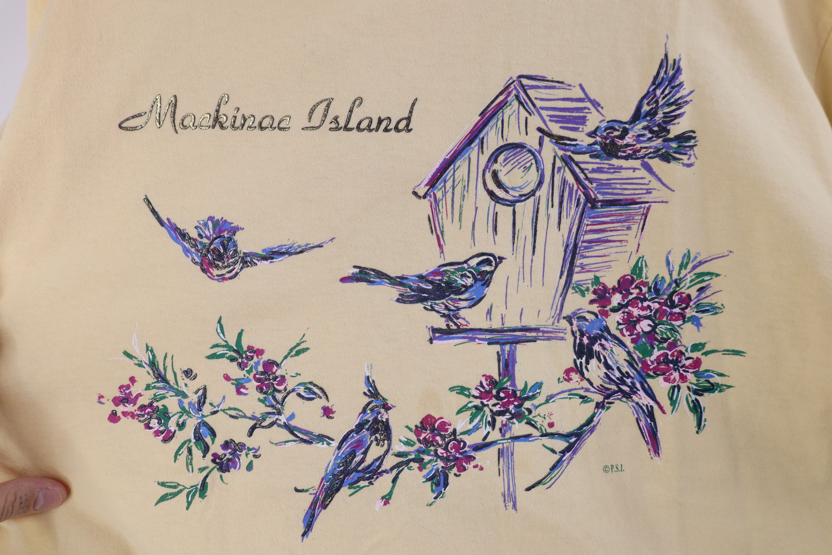 Vintage Vintage 90s Streetwear Mackinac Island Michigan Bird T-Shirt Size L / US 10 / IT 46 - 4 Thumbnail