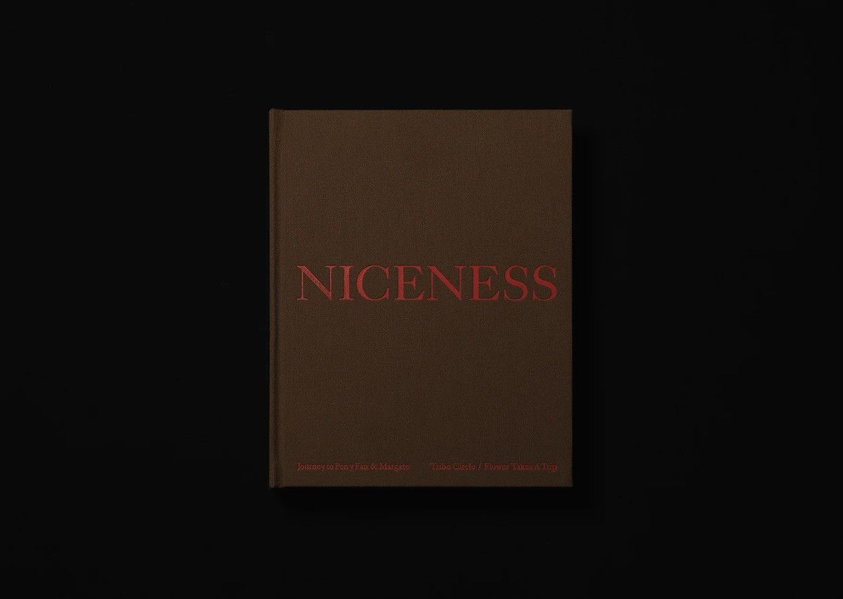 Japanese Brand NICENESS Archive Book 2022 Size ONE SIZE - 1 Thumbnail