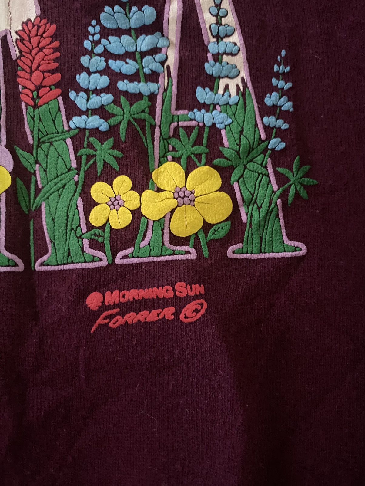 Hanes 🔥RARE🔥Vintage Sweatshirt Morning Sun Floral Size US XL / EU 56 / 4 - 4 Thumbnail