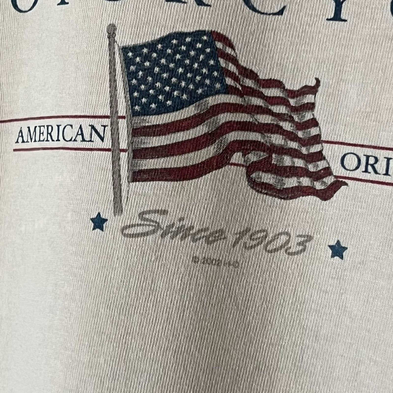 Harley Davidson 00s Distressed Harley Davidson T-Shirt | Rice Lake Wisconsin Size US L / EU 52-54 / 3 - 3 Thumbnail