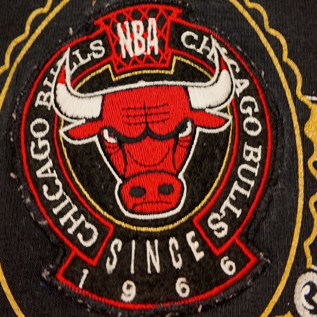 Nutmeg Chicago Bulls 1991 Eastern Conference Nutmeg Slim Fit Size US S / EU 44-46 / 1 - 3 Thumbnail