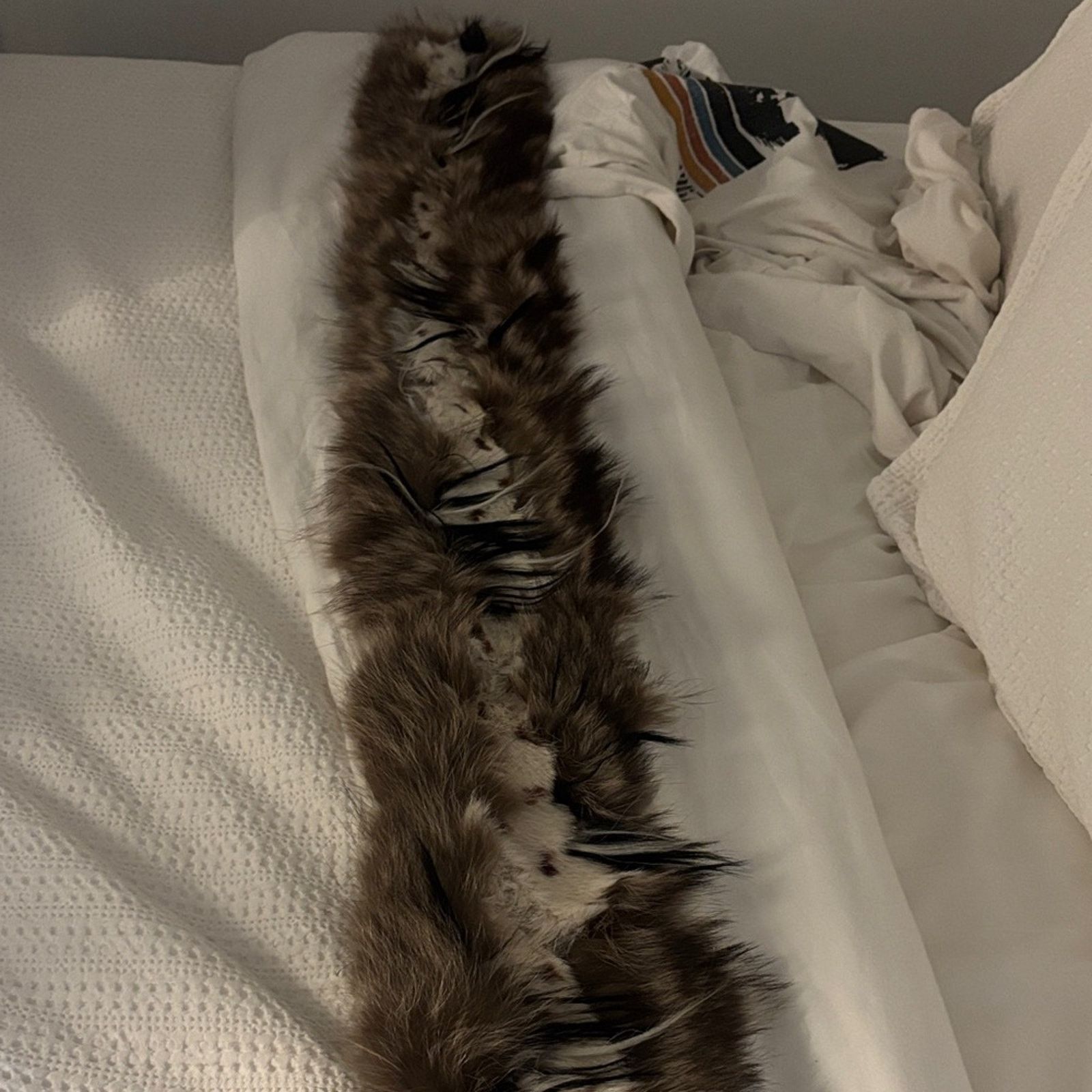 Gianfranco Ferre NWT Gianfranco Ferré Real Fur Collar Scarf Size ONE SIZE - 3 Thumbnail