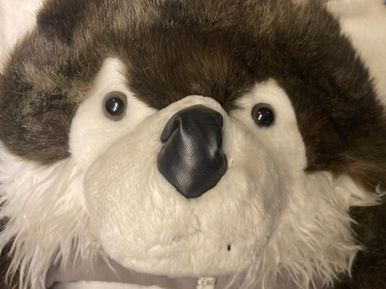 Designer Childrens Wolf Hat from Calgary Zoo! Size ONE SIZE - 2 Thumbnail
