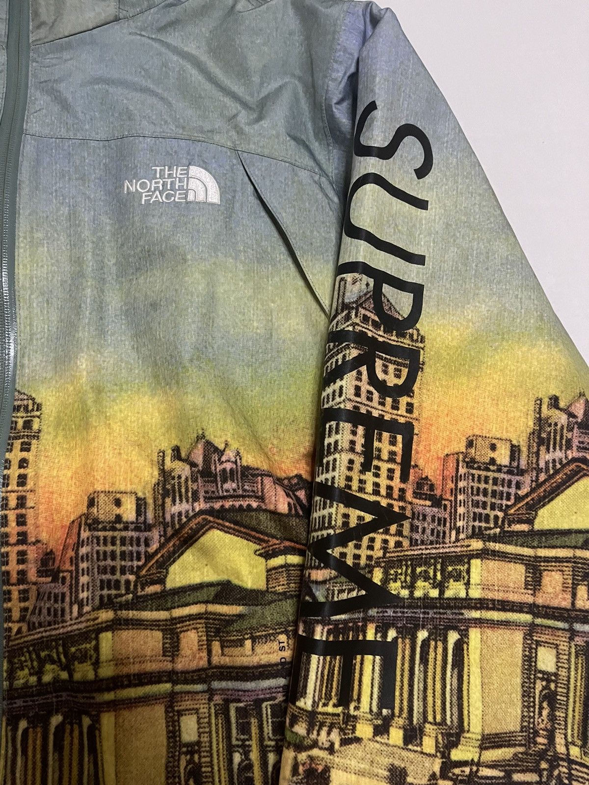 Supreme × The North Face Supreme tnf 08 the north face day summit skyline Jacket Size US L / EU 52-54 / 3 - 4 Thumbnail