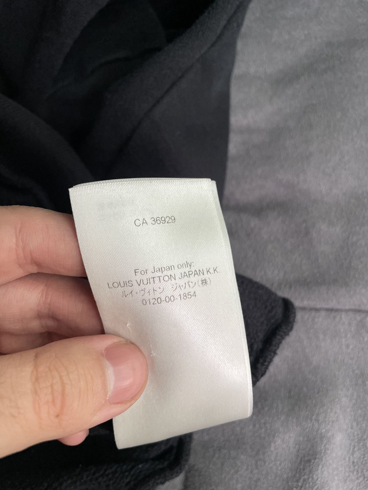 Louis Vuitton Louis Vuitton Brushed Logo Hoodie Size US S / EU 44-46 / 1 - 12 Thumbnail