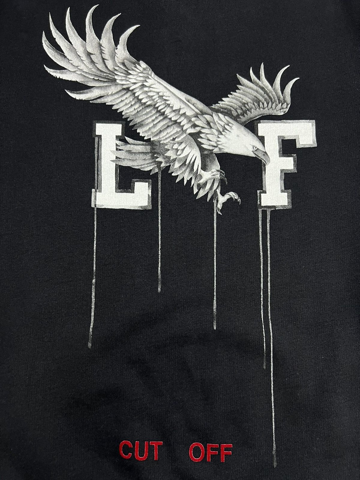 Off-White Off-White - Virgil Abloh - Othelo’s Eagle Crew Sweatshirt Size US S / EU 44-46 / 1 - 8 Thumbnail