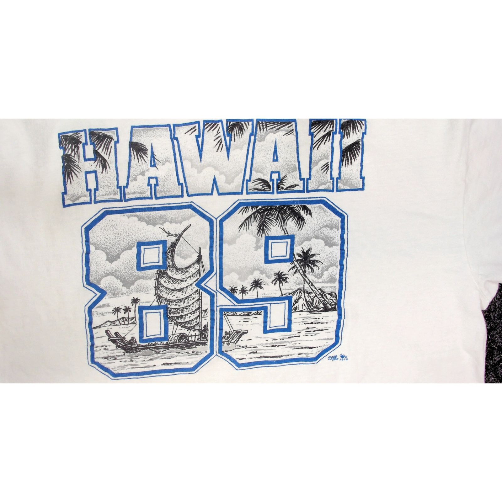 Hanes 80s Hanes Beefy-T Hawaii Boxy Surf Tee L Size US L / EU 52-54 / 3 - 6 Thumbnail