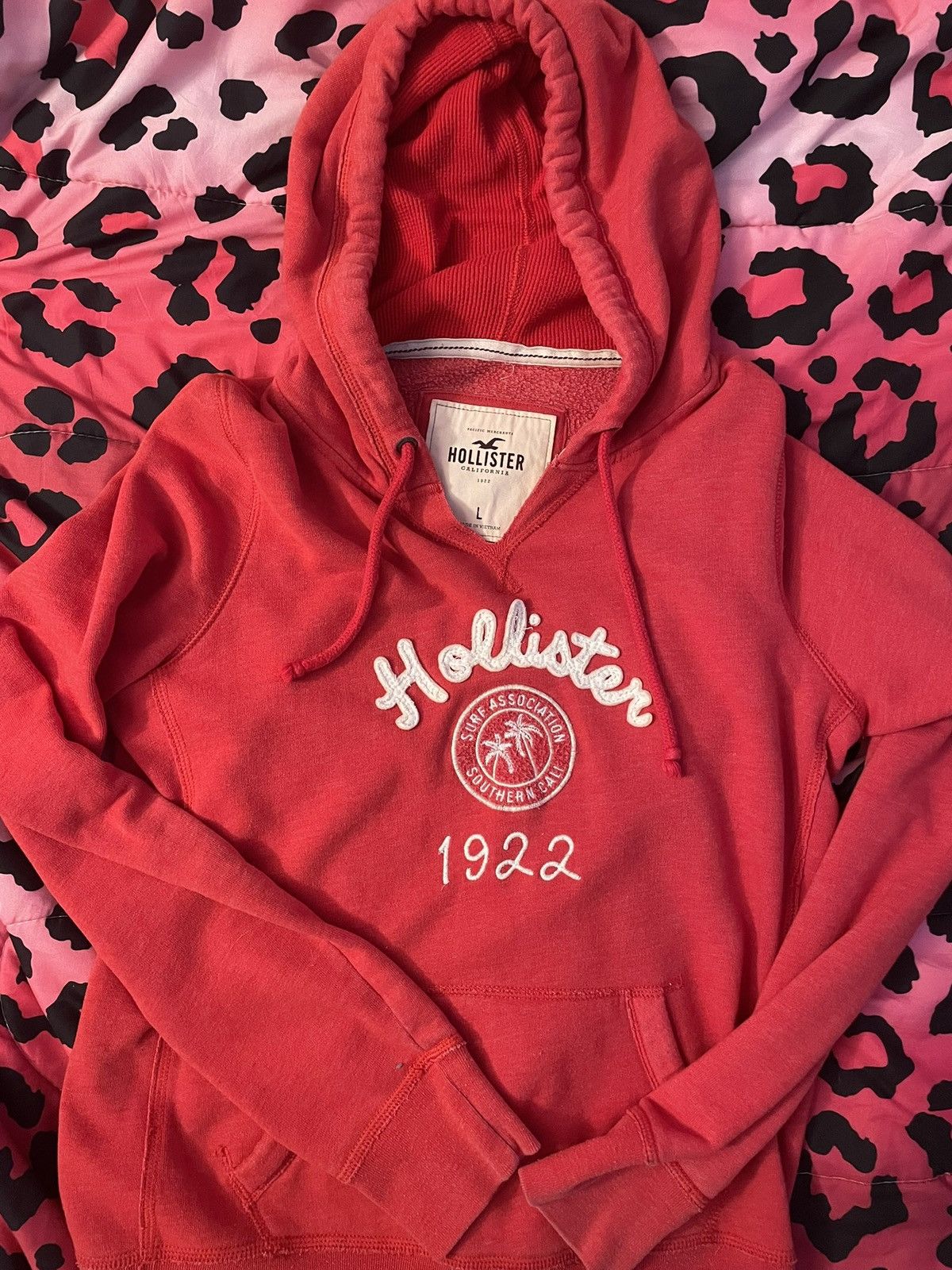 Hollister Y2k hollister hoodie Size L / US 10 / IT 46 - 1 Thumbnail