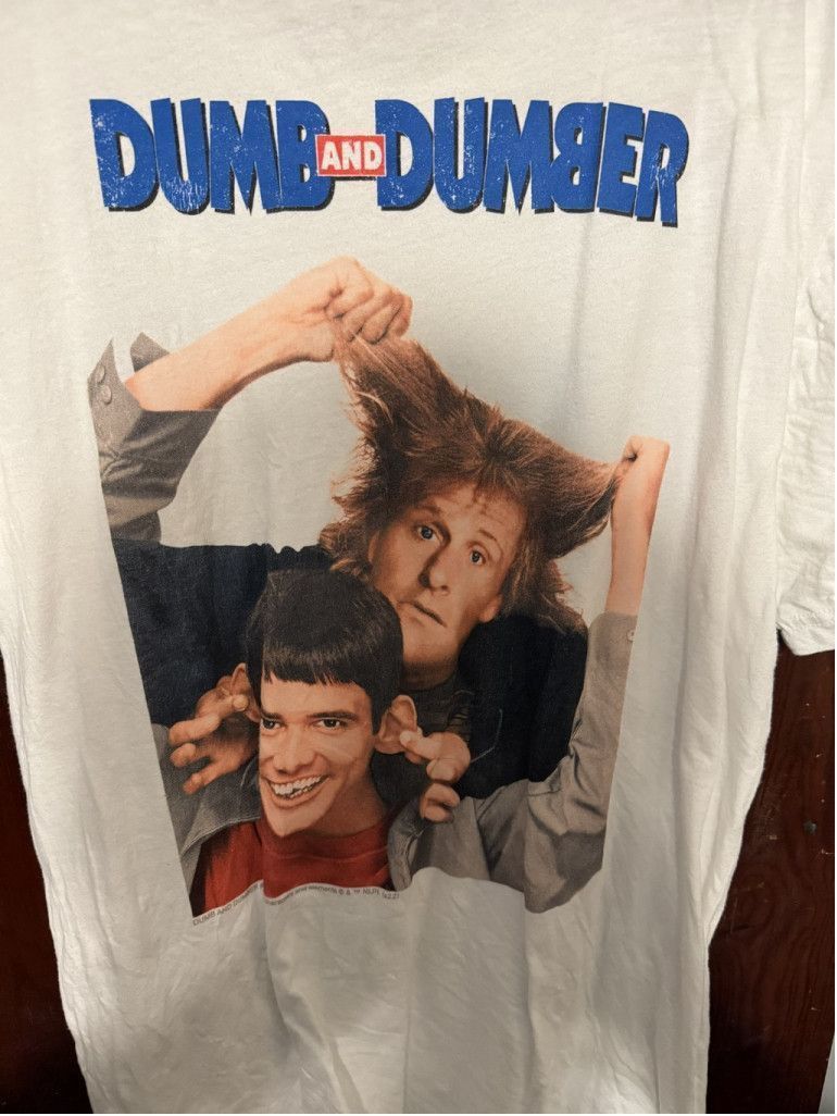 Hollister Dumb and Dumber Double-Sided Hollister T-Shirt Men L White Size US L / EU 52-54 / 3 - 3 Thumbnail
