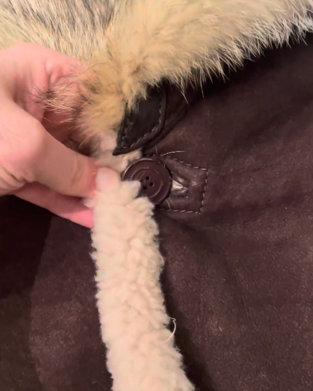 Roberto Cavalli SHEARLING SUEDE LEATHER HEAVY COAT WITH FOX FUR COLLAR Size US L / EU 52-54 / 3 - 8 Thumbnail