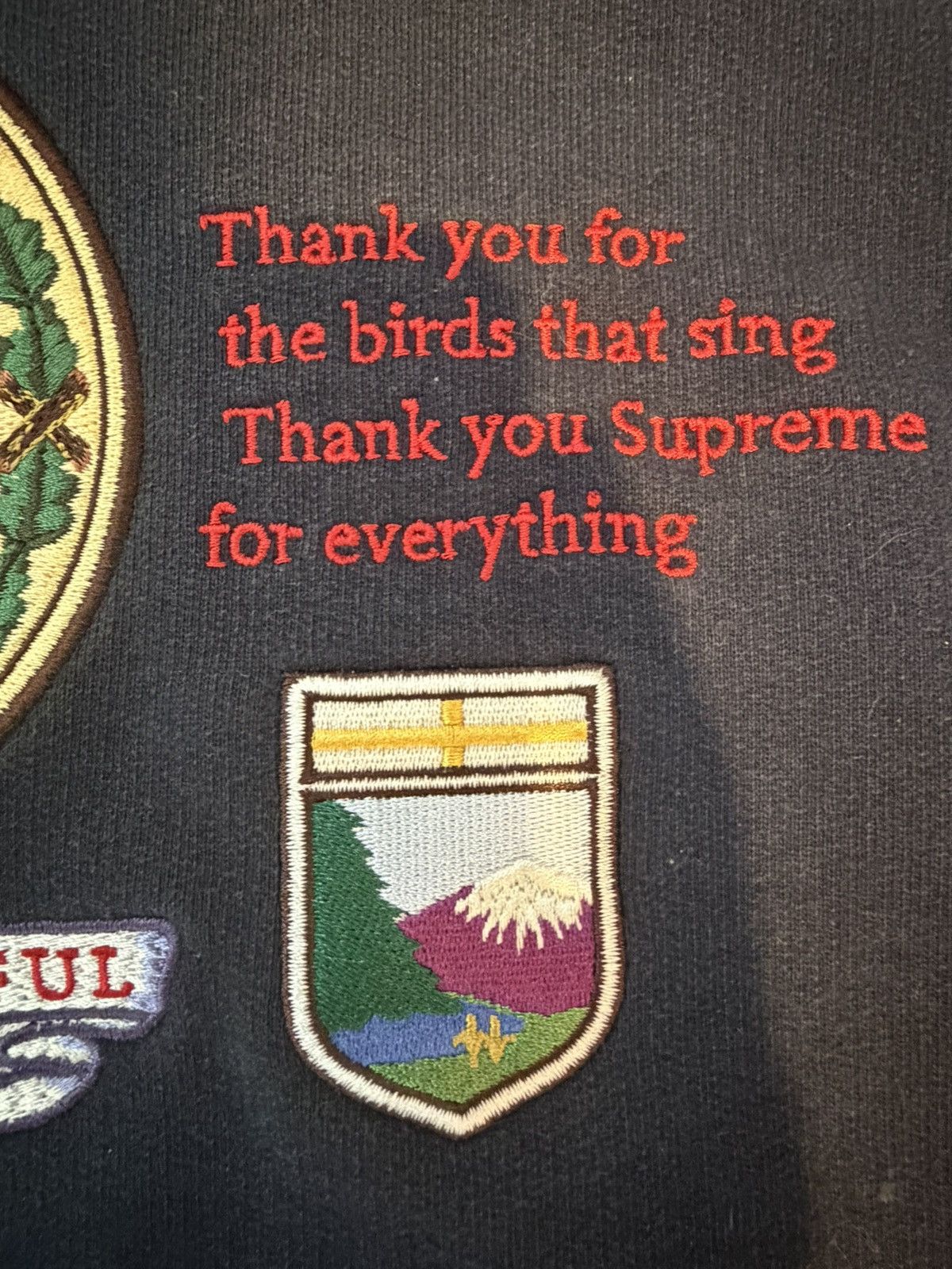 Supreme Supreme Hoodie Size US L / EU 52-54 / 3 - 6 Thumbnail