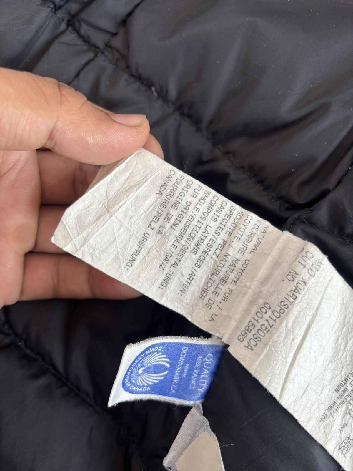 Canada Goose Canada Goose Kensington Parka Graphite Size US S / EU 44-46 / 1 - 21 Thumbnail