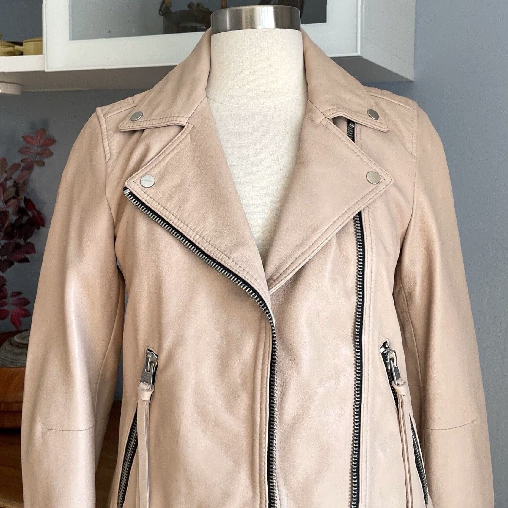 Allsaints AllSaints Dalby Leather Biker Jacket Women US 4 Pale Pink Size S / US 4 / IT 40 - 4 Thumbnail