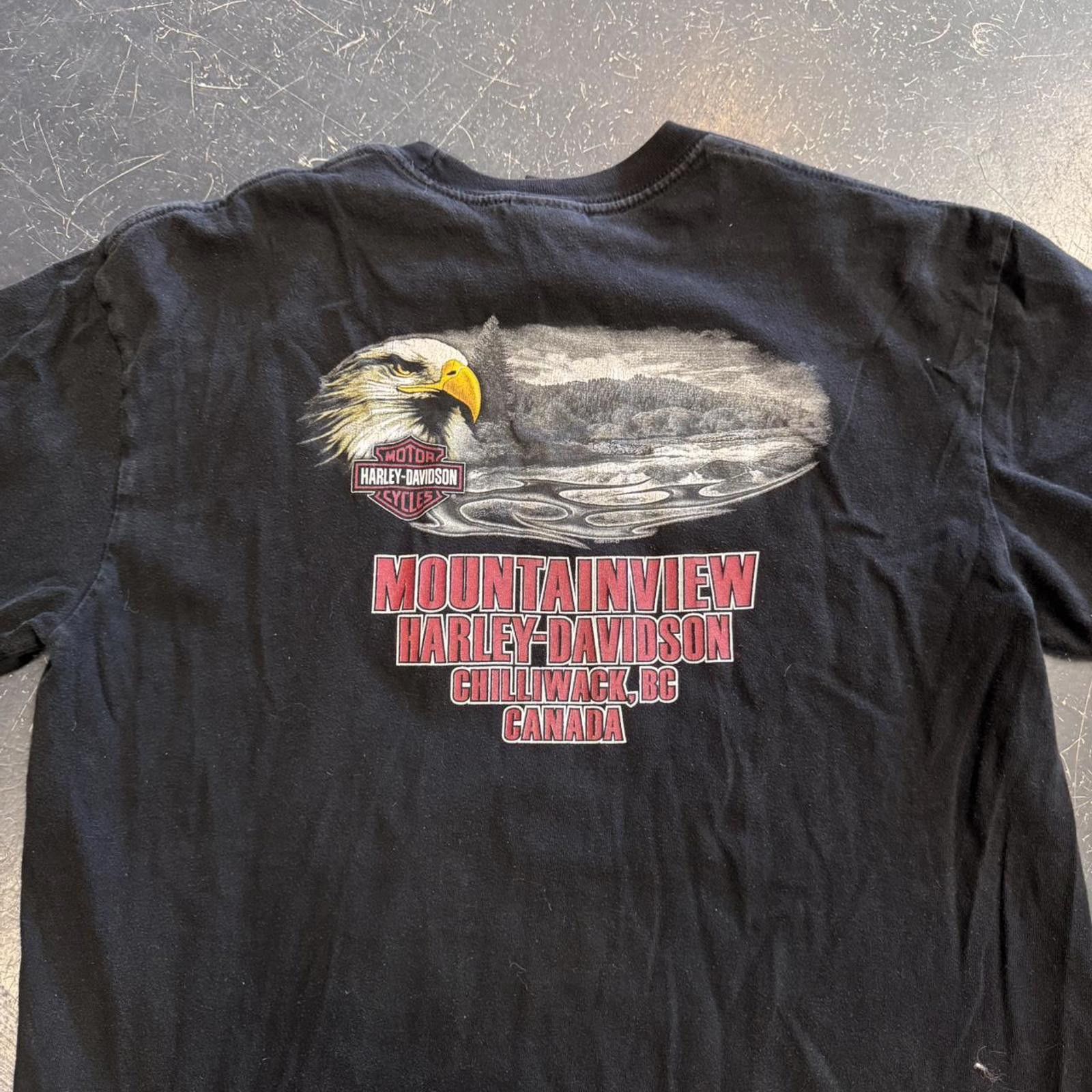 Harley Davidson × Vintage Vintage Harley Davidson Flaming Skull Tee Size US XL / EU 56 / 4 - 6 Thumbnail