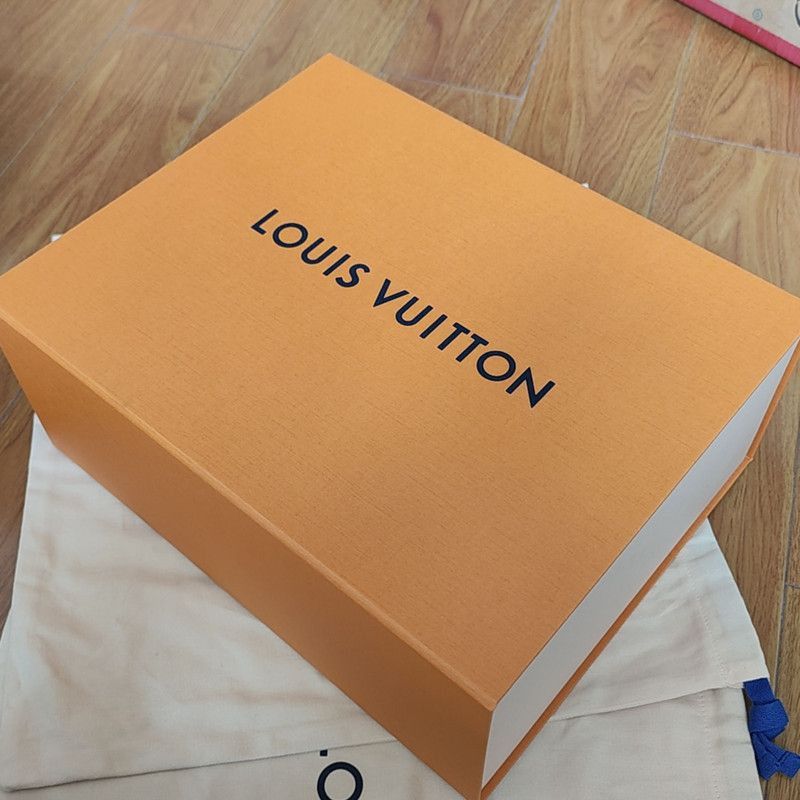 Louis Vuitton Louis Vuitton Trainer Maxi Low-Top Sneakers -2508 Size US 8 / EU 41 - 4 Thumbnail