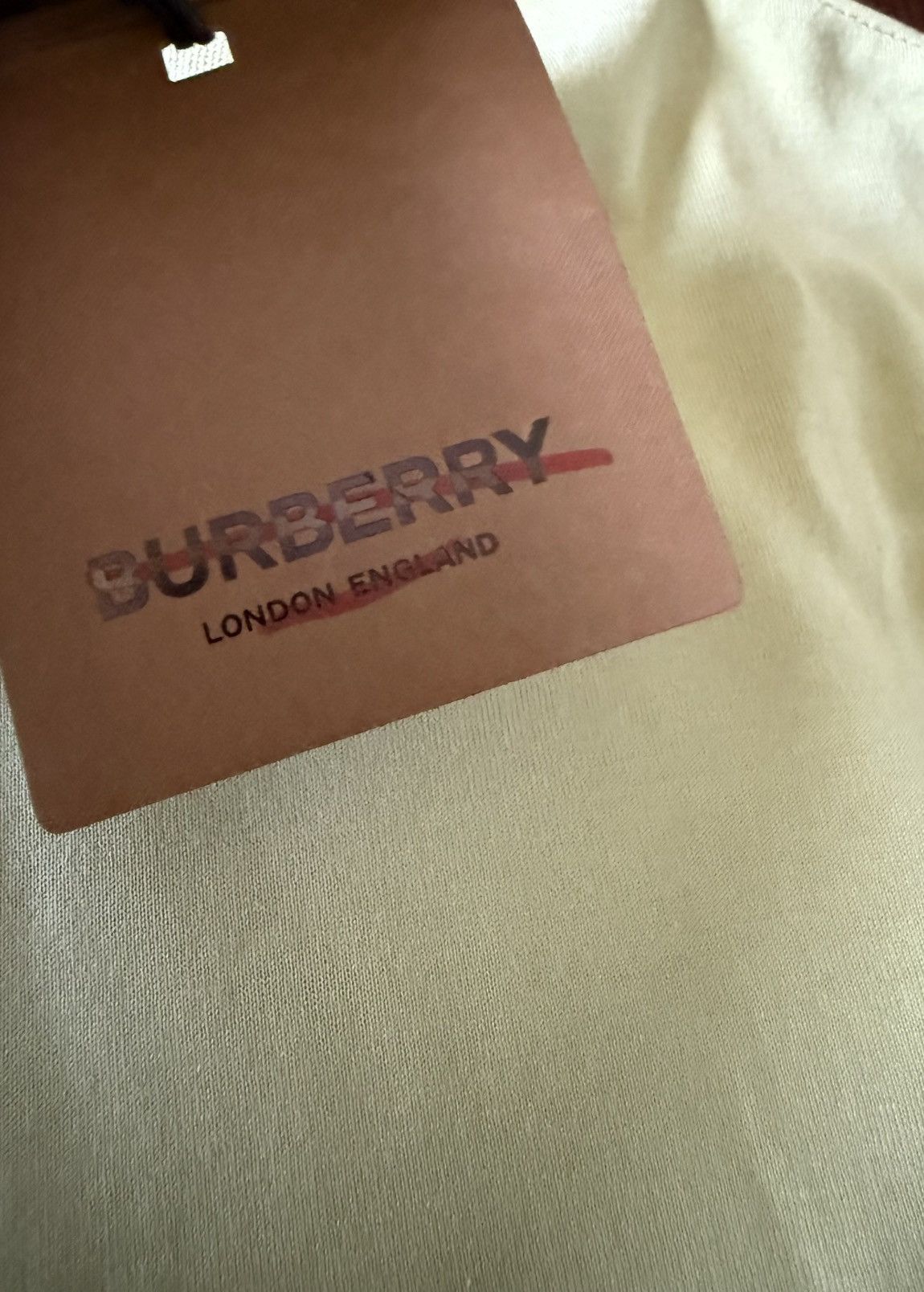 Burberry Burberry Mist Green T-Shirt Size US L / EU 52-54 / 3 - 8 Thumbnail