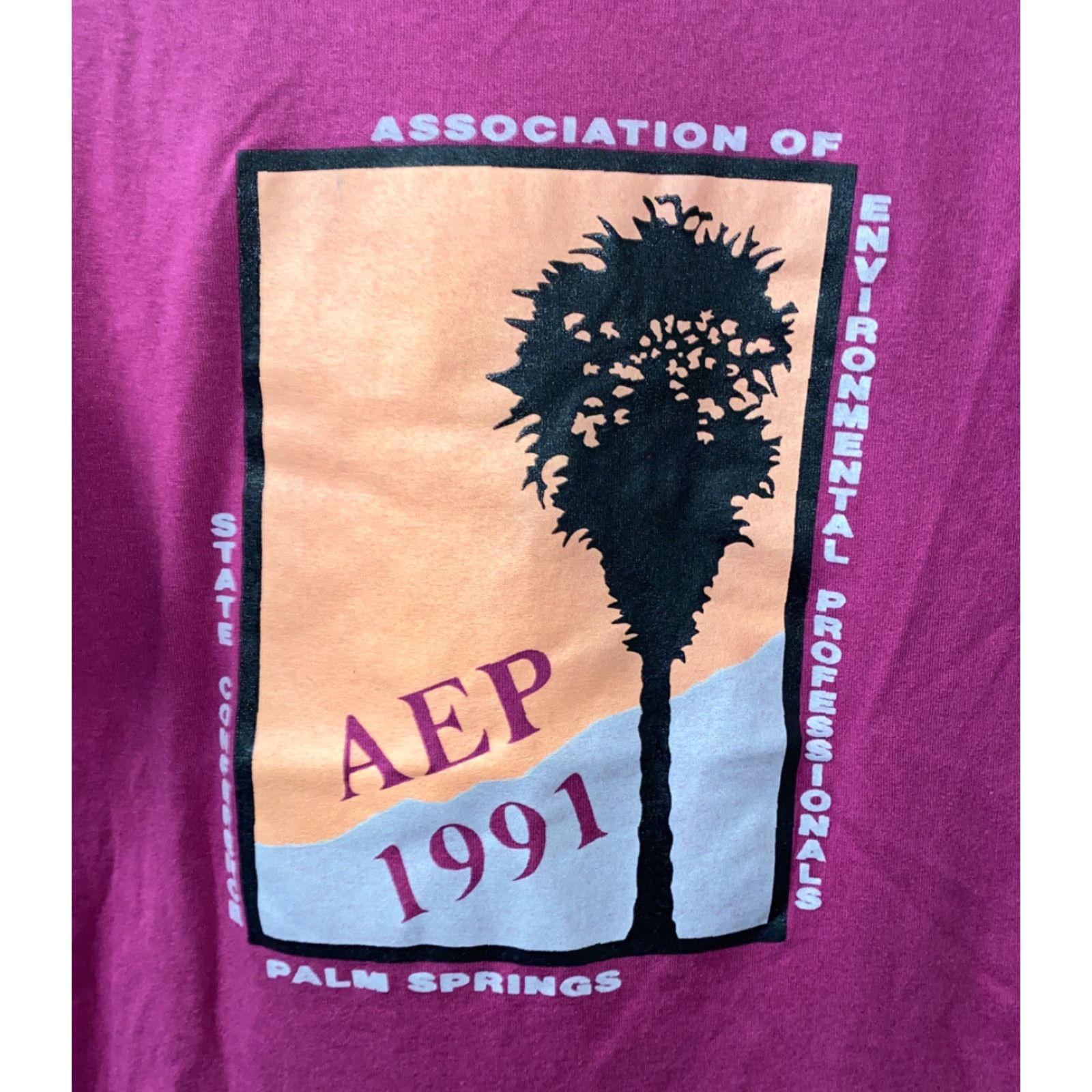 Jerzees VINTAGE Jerzees T-Shirt Women Pink AEP 1991 Graphic Size M, Short Sleeve, Cotton/Polyester, Regular Fit, Basic, Women, Casual Size M / US 6-8 / IT 42-44 - 2 Thumbnail