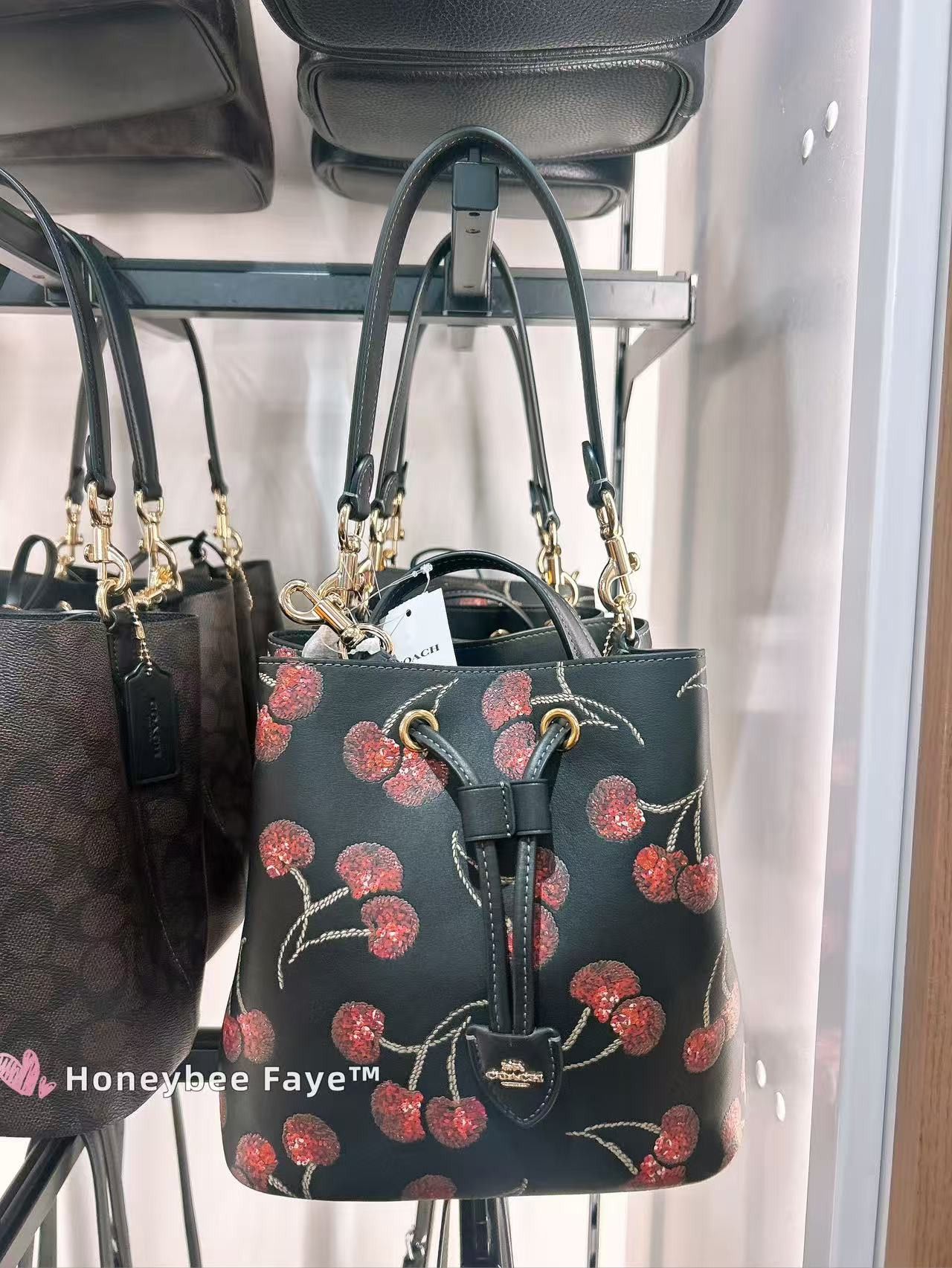 Coach Nwt Coach Rowan Bucket Bag With Cherry Print CCZ17 🍒 Size ONE SIZE - 4 Thumbnail