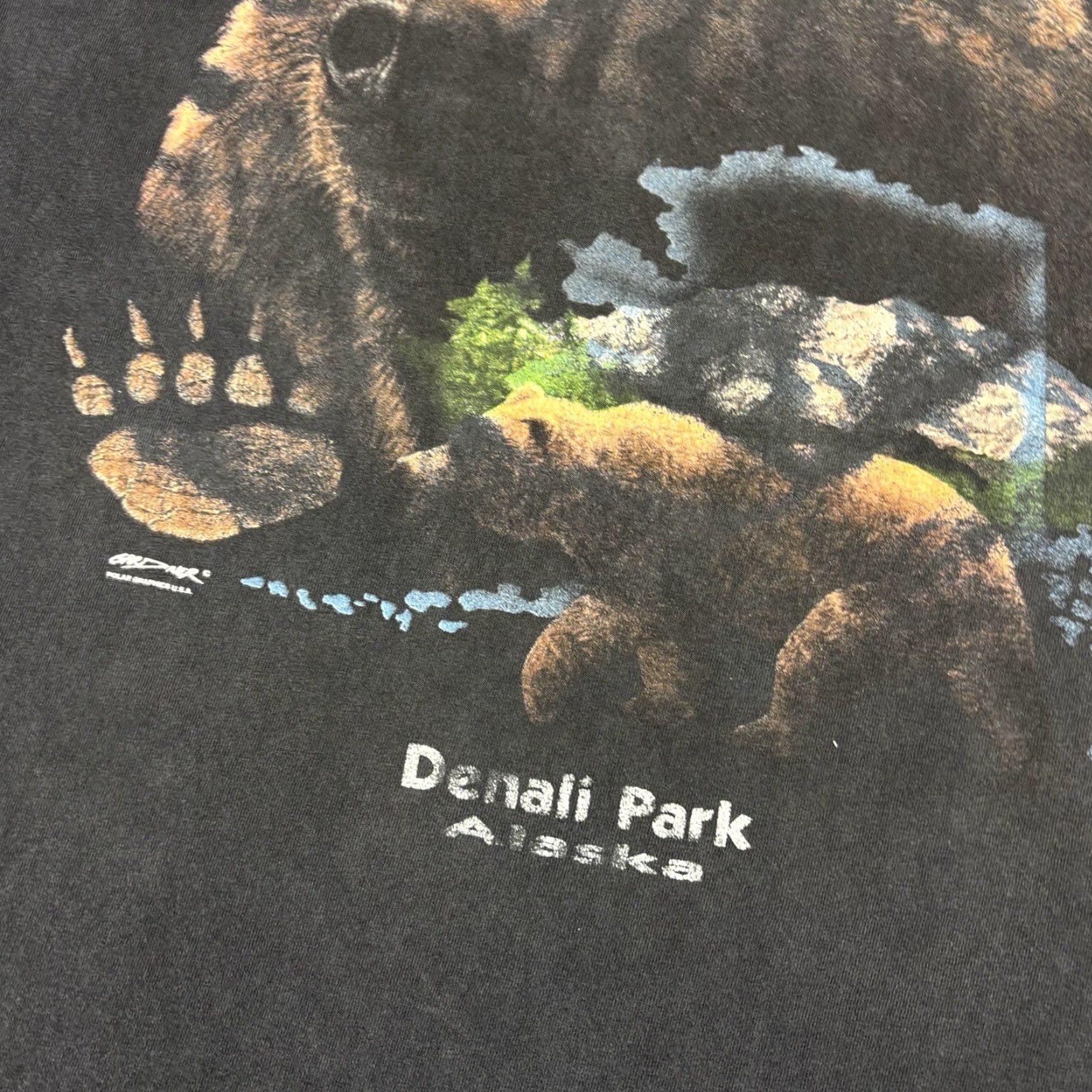 Hanes VINTAGE Hanes T-Shirt Denali Park Alaska grizzly bear nature art size L 90s USA Shirt Mens Black Cotton Size US L / EU 52-54 / 3 - 4 Thumbnail