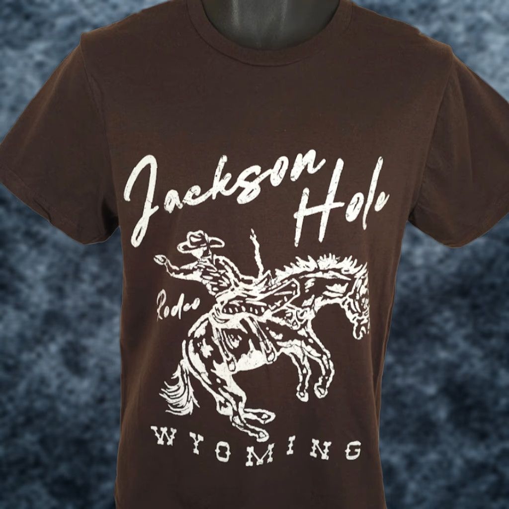Vintage Bowery Jackson Hole Rodeo T Shirt Mens S Brown Wyoming Travel Destination Tee Shirts Rodeo Western Cowboy Bull Riding Gift Boys/Mens 90s Style Size US S / EU 44-46 / 1 - 1 Thumbnail