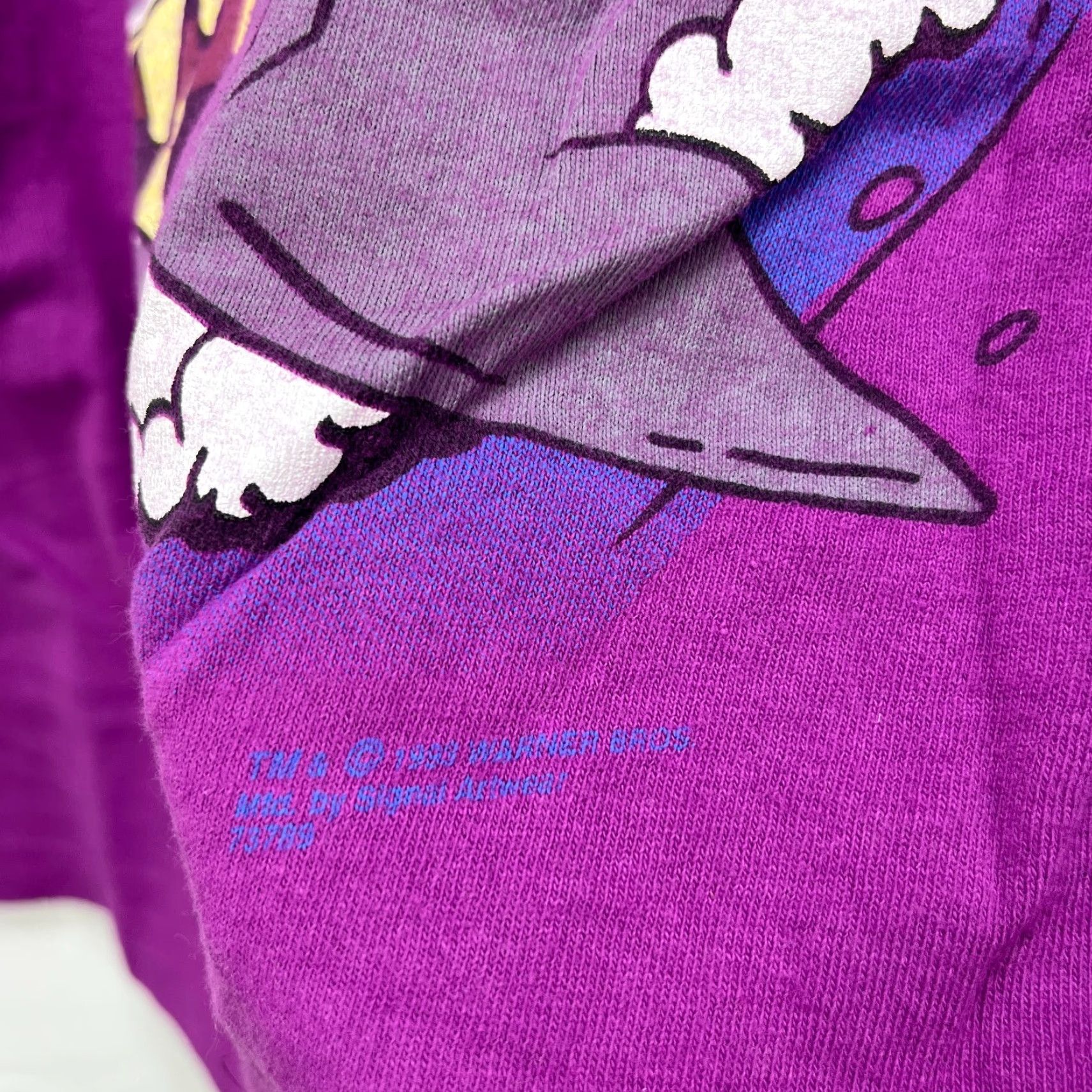 Vintage VINTAGE 90s Taz Looney Tunes Single Stitch Shark T-Shirt Large Size US L / EU 52-54 / 3 - 5 Thumbnail