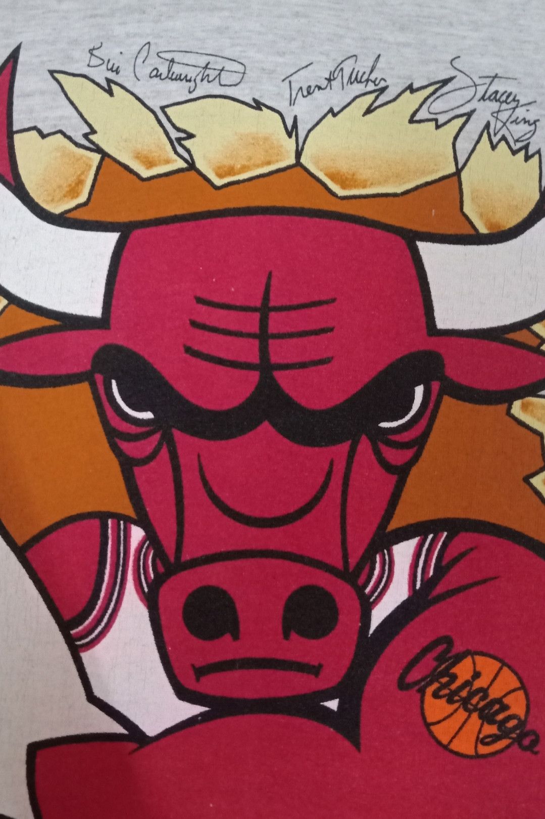 NBA × Vintage Vintage 90s Chicago Bulls 1993 NBA Champs T-shirt Size US XL / EU 56 / 4 - 6 Thumbnail