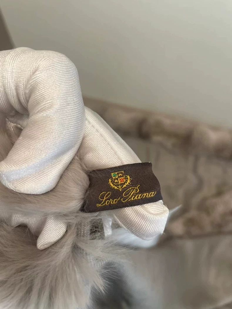 Loro Piana LORO PIANA Gray Totoro cashmere shawl scarf Size M / US 6-8 / IT 42-44 - 8 Thumbnail