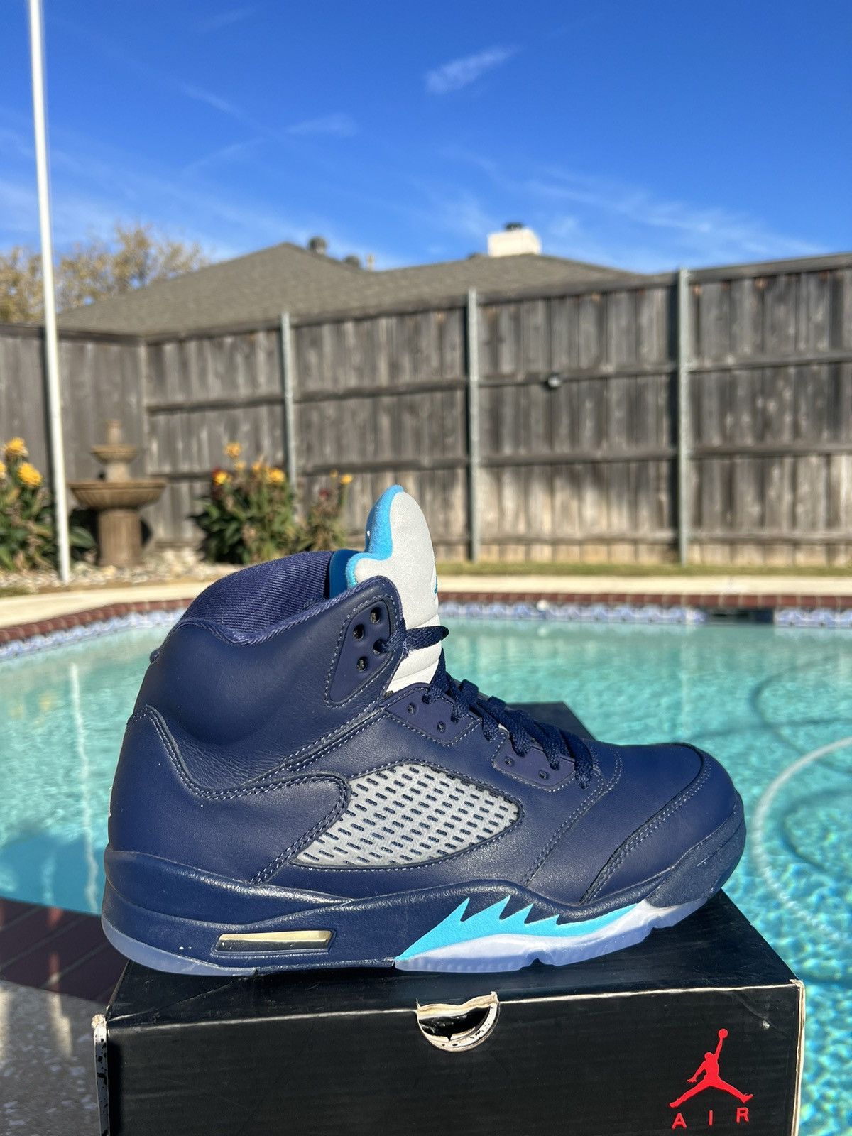 pre grape jordan 5