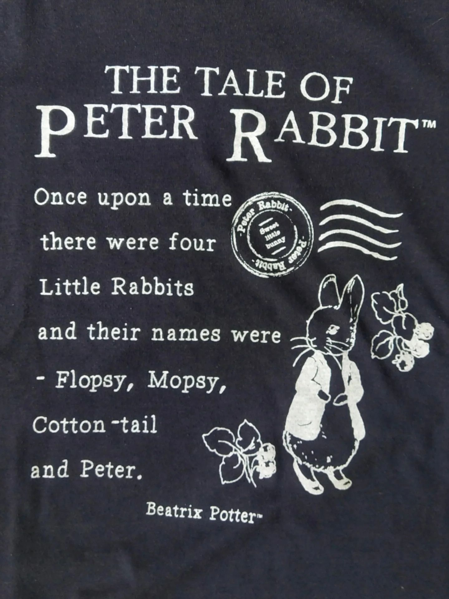 Vintage The Tale of Peter Rabbit Beatrix Potter Movie Tee Size XXL / US 16-18 / IT 52-54 - 2 Thumbnail