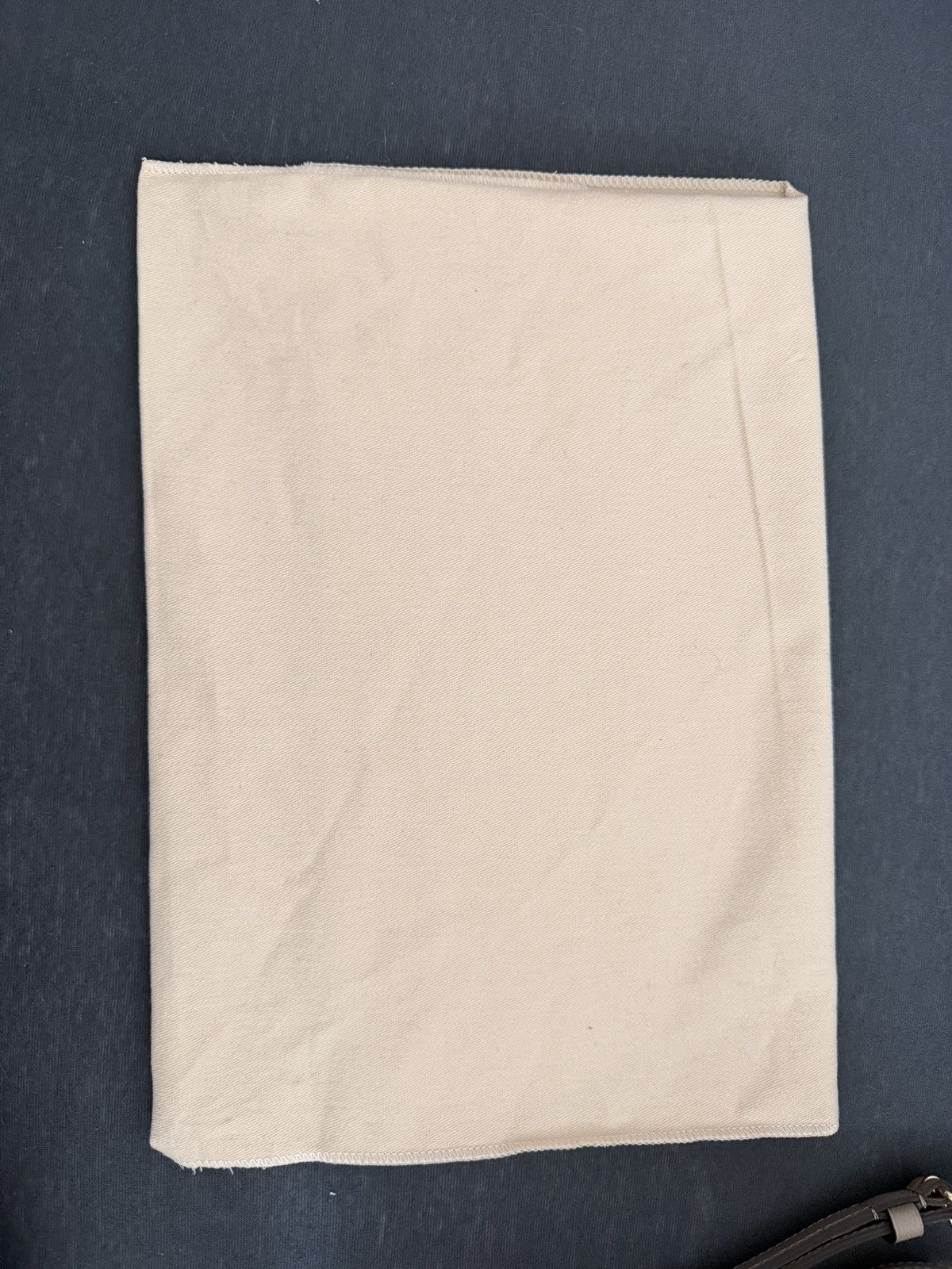 Louis Vuitton Louis Vuitton Bag Size ONE SIZE - 14 Thumbnail