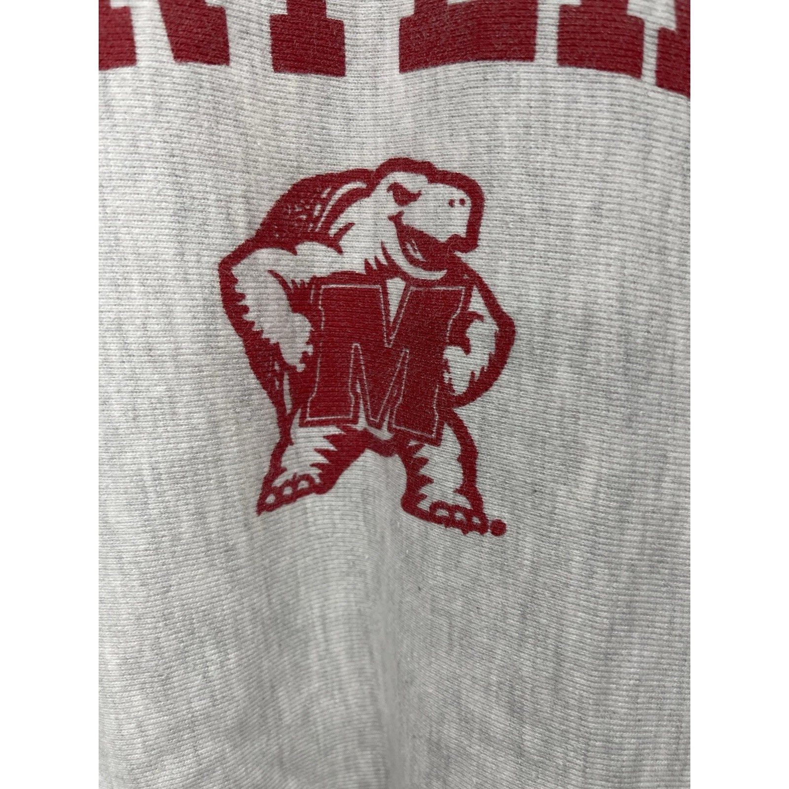 Champion VTG 80s MARYLAND TERRAPINS GRAY CHAMPION REVERSE WEAVE CREWN Size US L / EU 52-54 / 3 - 4 Thumbnail
