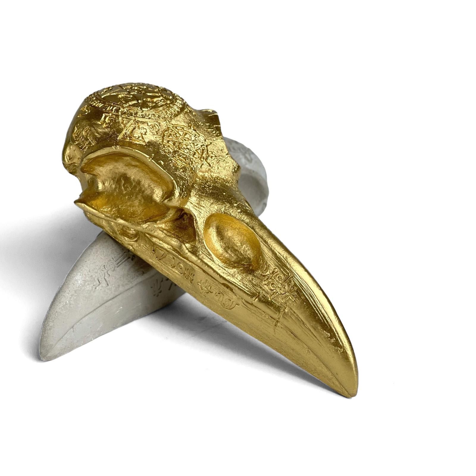 Other Crow Skull Replica, Raven Skull Sculpture, Realistic Magpie Size ONE SIZE - 8 Thumbnail