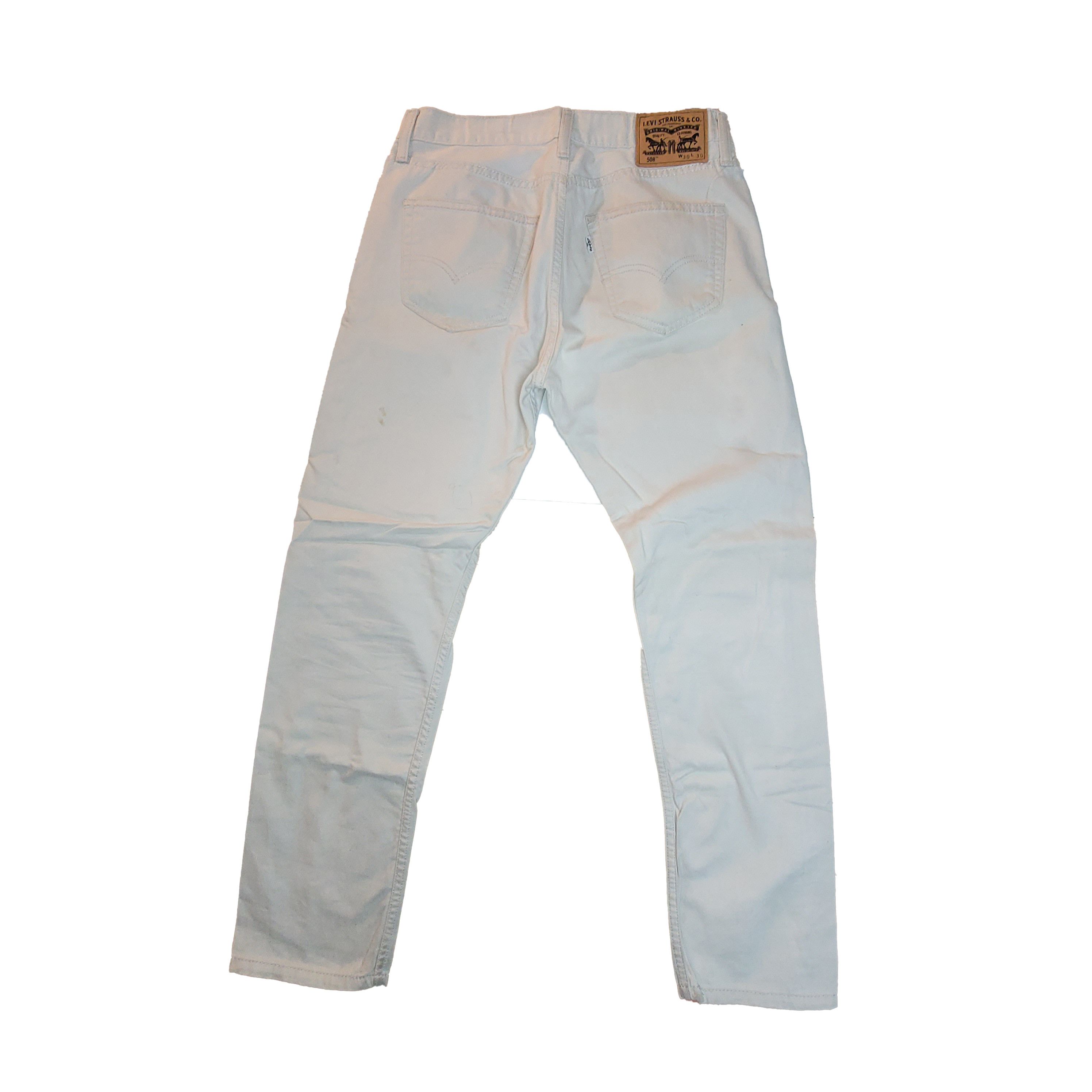 Levi's Levi's 508 Beige Slim Fit Pant Size US 30 / EU 46 - 2 Thumbnail