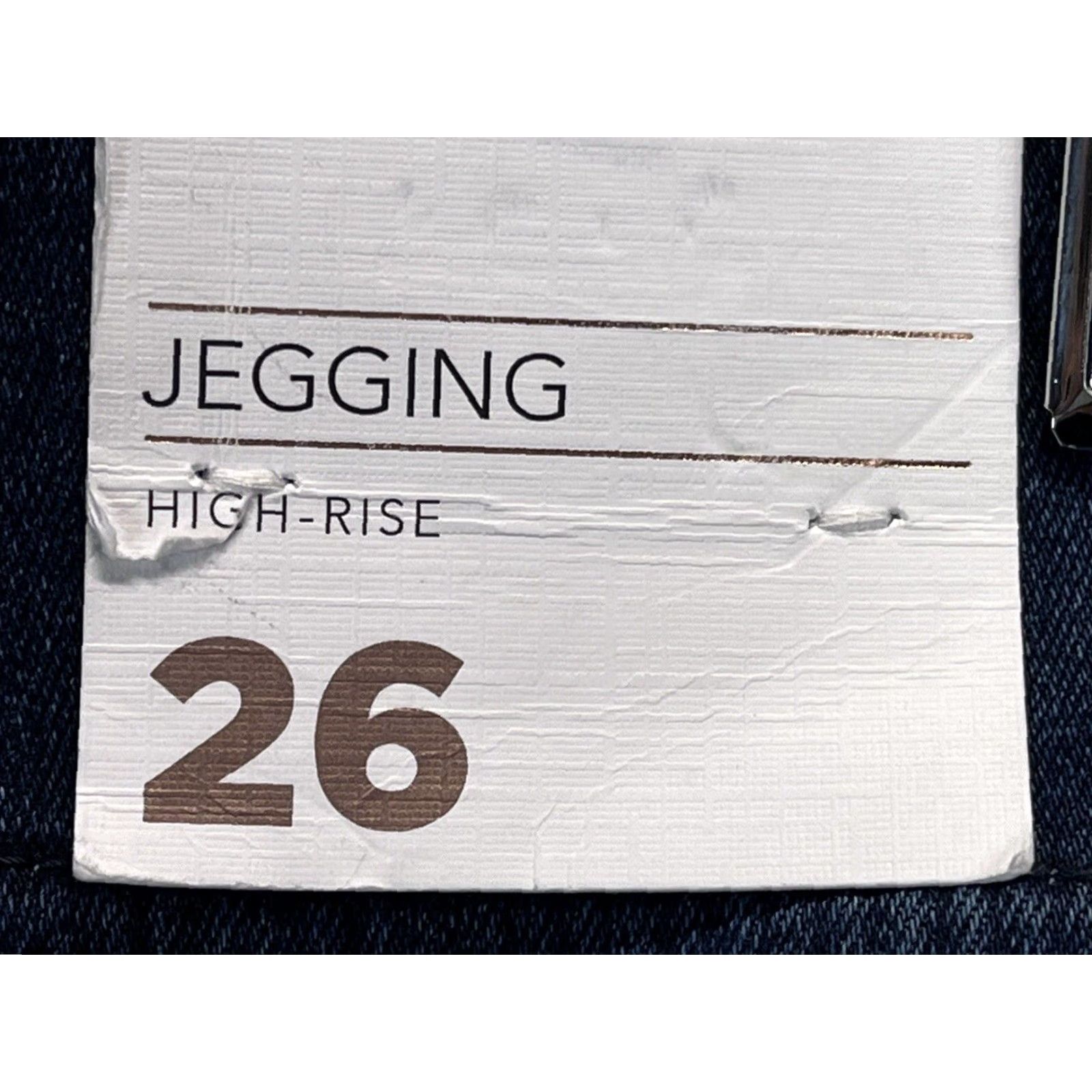 Vintage Lane Bryant High Rise Jegging Jeans Blue Plus Size 26 Women Size 26" / US 2 / IT 38 - 6 Thumbnail