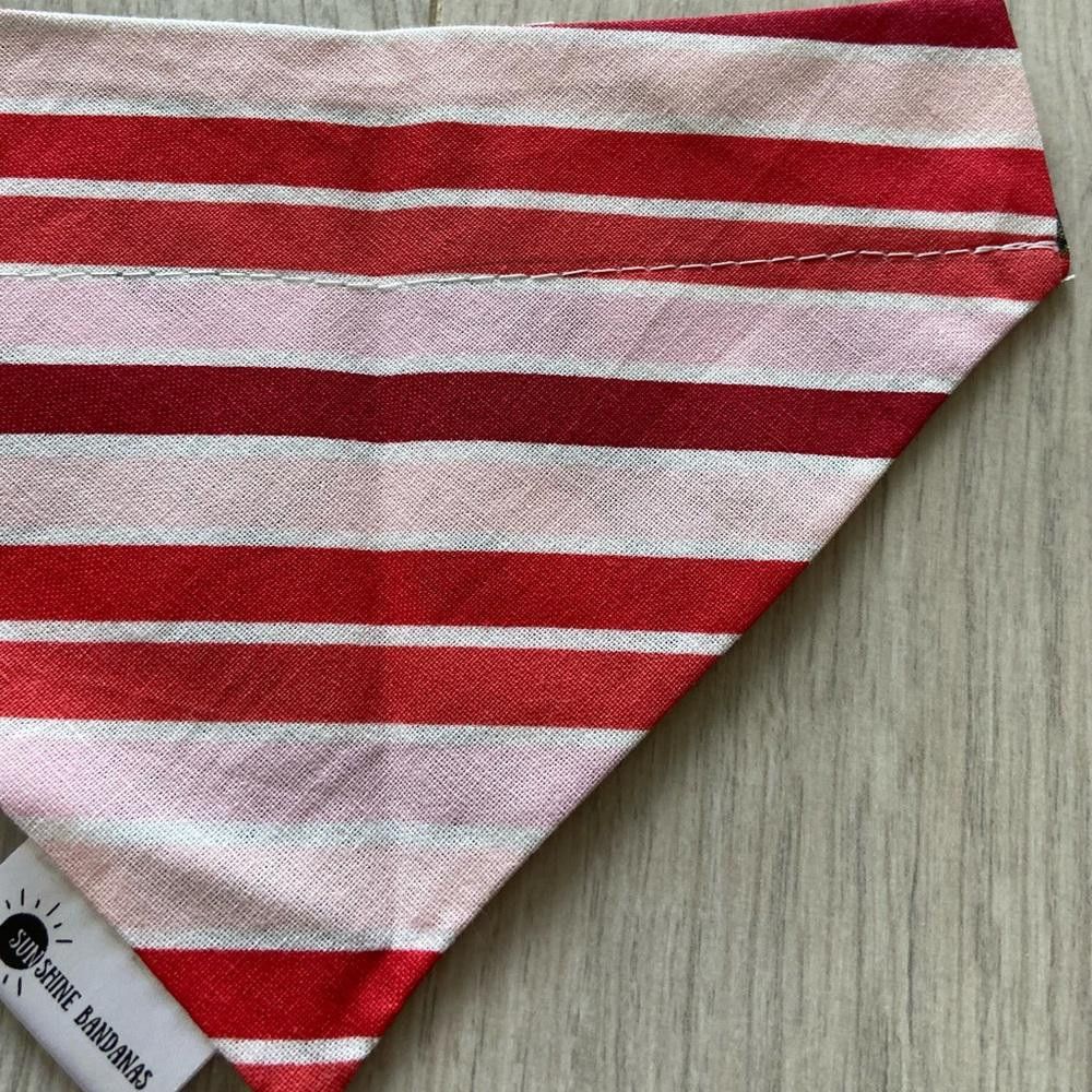 Designer SunShine Bandanas Heart Donut and Line Dog Bandana Size ONE SIZE - 5 Thumbnail