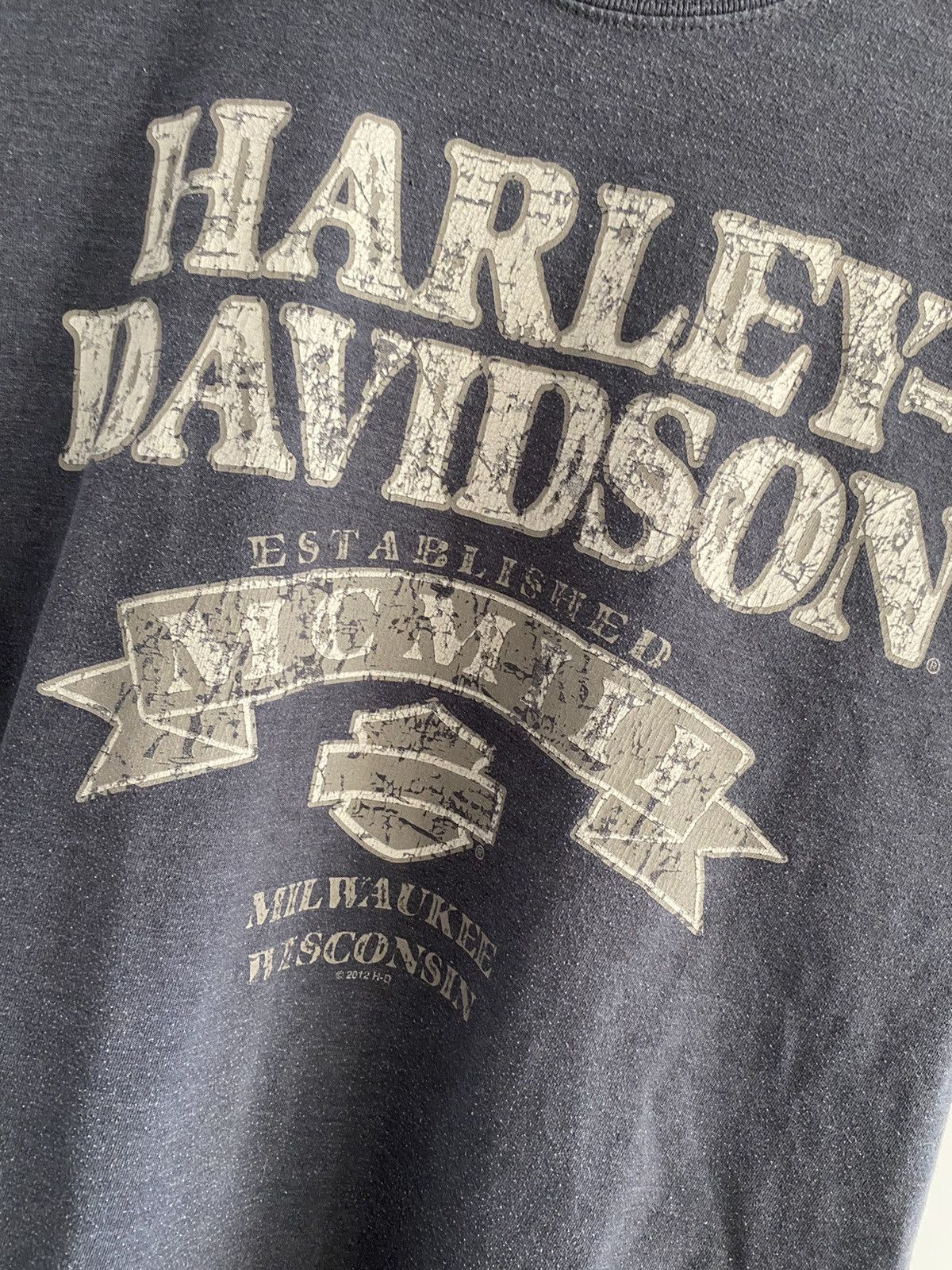 Band Tees × Harley Davidson × Vintage T-Shirt Harley-Davidson Vintage Crazy Size US L / EU 52-54 / 3 - 5 Thumbnail