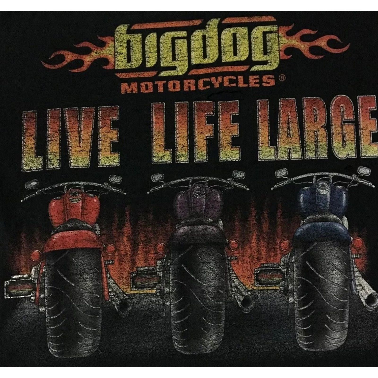 Thrasher VINTAGE Big Dog Motorcycles Shirt M Mens Distressed 90s Harley Grunge Biker Rock Punk Black Size US M / EU 48-50 / 2 - 3 Thumbnail