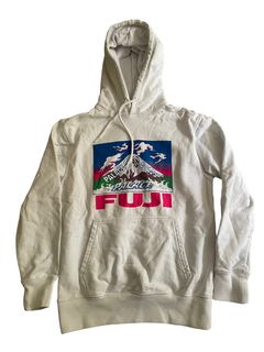 Palace discount fuji hoodie